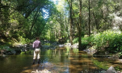 StreamflowMonitoring5_TU